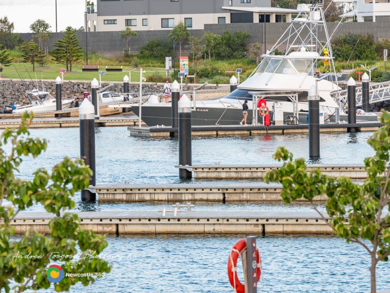 Gallery - Shellharbour Marina